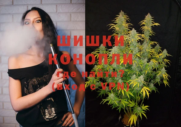 МДПВ Вяземский