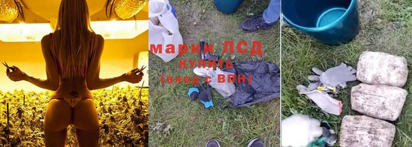 МДПВ Вяземский