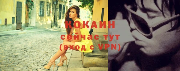 МДПВ Вяземский