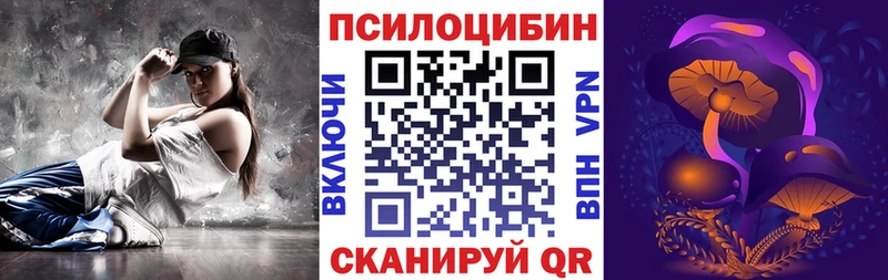 Псилоцибиновые грибы Psilocybe  закладки  Владикавказ 