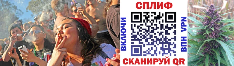Конопля гибрид Владикавказ